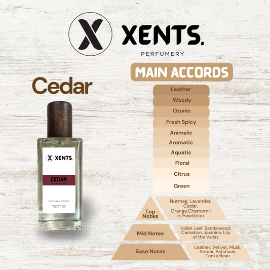 Cedar Mens Original Line