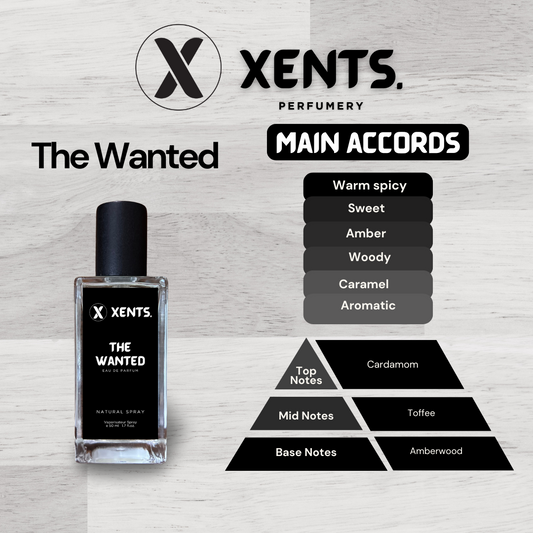 The Wanted Mens Premium Line